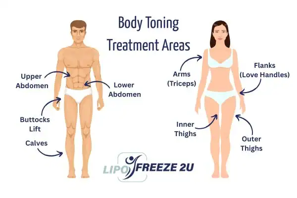 Graphic showing where you can have Body toning Treatment Gainsborough on your body